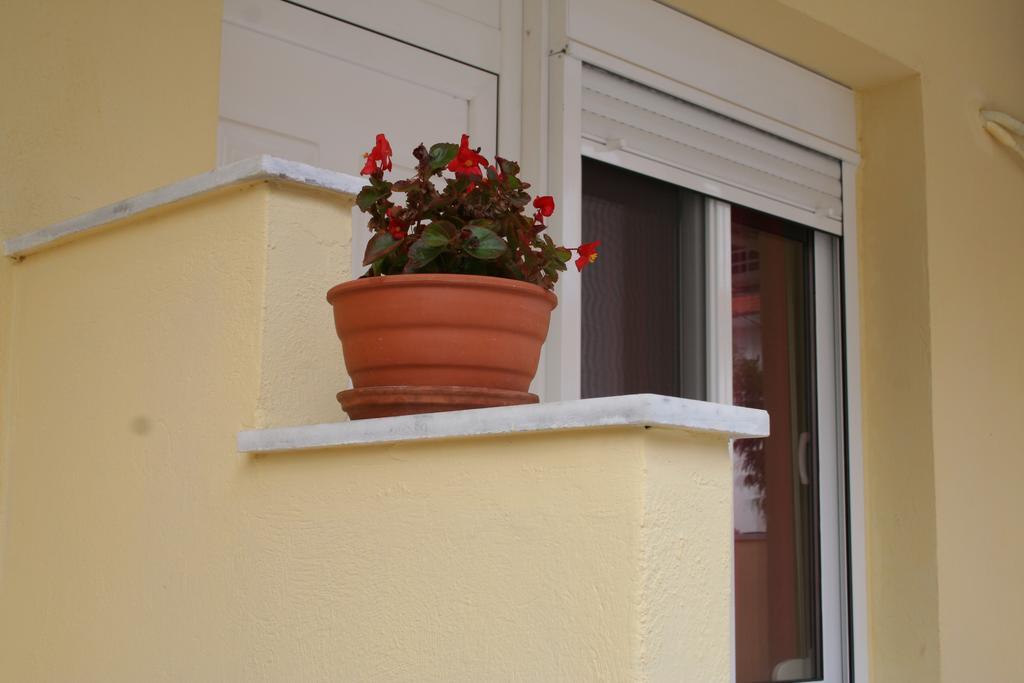 Alexandros Studios Asprovalta Pokój zdjęcie